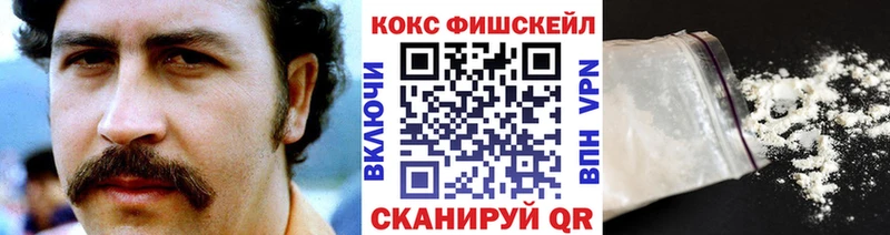 Купить закладки Нижнеудинск Кокаин Fish Scale