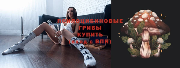 соль ск Горняк