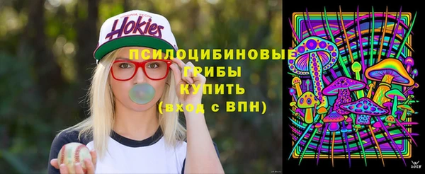 молекула духа Горнозаводск