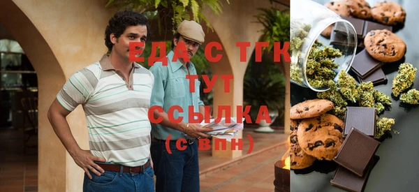 молекула духа Горнозаводск
