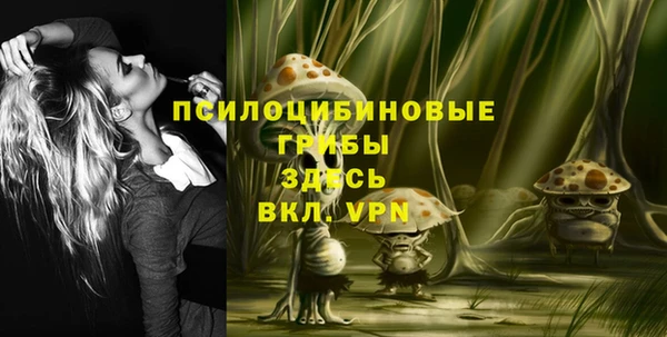крисы Горно-Алтайск