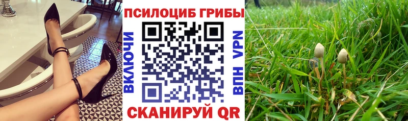 Галлюциногенные грибы мицелий Купить Нижнеудинск